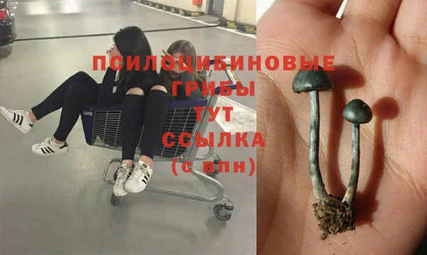 COCAINE Белоозёрский